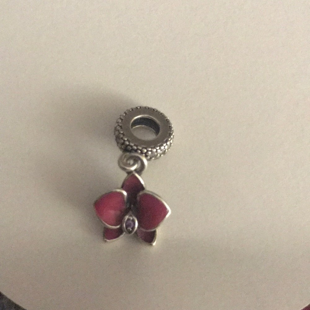 Pandora Charm